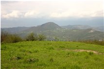  Prima tenue pennellata di verde sul paesaggio - Casella - 2006 - Panorami - Estate - Voto: Non  - Last Visit: 24/9/2023 17.6.20 