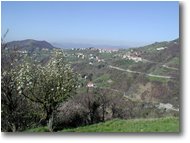 Fotografie Casella - Panorami - Una veduta del paese di Orero dintorni di Casella