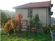  Coloured vine - Casella - 2002 - Villages - Winter - Voto: Non  - Last Visit: 27/1/2024 17.22.16 