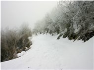  Strada provinciale Crocefieschi-Alpe in marzo - Crocefieschi&Vobbia - 2010 - Altro - Inverno - Voto: Non  - Last Visit: 22/1/2024 5.24.57 