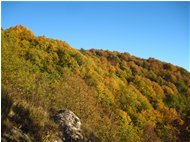  Colori d’autunno, tra siccità e cambio di stagione - Crocefieschi&Vobbia - 2017 - Boschi - Estate - Voto: Non  - Last Visit: 13/4/2024 20.35.13 