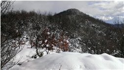  Monte Schigonzo con neve - Crocefieschi&Vobbia - 2014 - Boschi - Inverno - Voto: Non  - Last Visit: 28/9/2023 7.59.59 