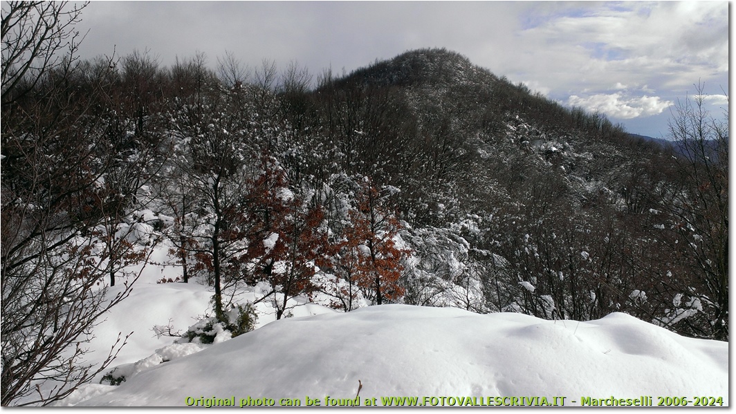 Monte Schigonzo con neve - Crocefieschi&Vobbia - 2014 - Boschi - Inverno - HTC One S Nokia C7-00 (o altro cell)