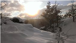  Neve in controloluce salendo verso il Proventino - Crocefieschi&Vobbia - 2014 - Boschi - Inverno - Voto: Non  - Last Visit: 28/8/2022 21.20.49 