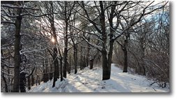 Fotografie Crocefieschi&Vobbia - Boschi - Ombre sulla neve durante il ritorno verso la cappelletta degli alpini, dal monte Proventino