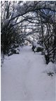 Pericolo caduta neve nel collo! - Crocefieschi&Vobbia - 2014 - Boschi - Inverno - Voto: Non  - Last Visit: 16/12/2022 0.14.22 