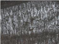  Seccatoio di castagne nel bosco, nella neve - Crocefieschi&Vobbia - 2005 - Boschi - Inverno - Voto: Non  - Last Visit: 29/12/2021 1.17.14 