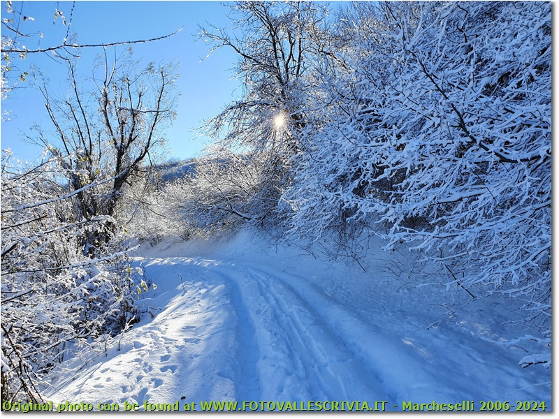 Strada innevata tra Crebaia e Alpe di Vobbia - Crocefieschi&Vobbia - 2021 - Boschi - Inverno - HTC One/Nokia C7/Samsung S7/S10