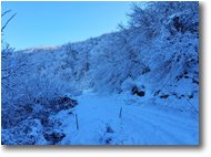 Foto Crocefieschi&Vobbia - Boschi - Strada ombrosa e innevata tra Crebaia e Alpe di Vobbia
