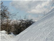  Verso Alpe di Vobbia nella neve - Crocefieschi&Vobbia - 2004 - Boschi - Inverno - Voto: Non  - Last Visit: 25/9/2023 21.9.25 