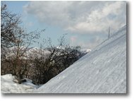Foto Crocefieschi&Vobbia - Boschi - Verso Alpe di Vobbia nella neve
