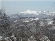  M. Alpe innevato - Crocefieschi&Vobbia - 2004 - Landscapes - Winter - Voto: Non  - Last Visit: 27/9/2023 10.47.8 