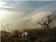  Fog from flatland assaulting M. Schigonzo - Crocefieschi&Vobbia - 2002 - Landscapes - Winter - Voto: 9    - Last Visit: 21/9/2023 16.54.12 