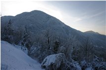  Gelo sul Monte Suià - Crocefieschi&Vobbia - 2009 - Landscapes - Winter - Voto: Non  - Last Visit: 22/1/2024 5.42.17 