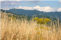  Monte Antola visto dal Monte Proventino - Crocefieschi&Vobbia - 2010 - Landscapes - Summer - Voto: Non  - Last Visit: 13/4/2024 20.16.21 