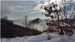  Neve e nebbie attorno al Montemaggio salendo al m. Schigonzo - Crocefieschi&Vobbia - 2016 - Landscapes - Winter - Voto: Non  - Last Visit: 16/10/2021 13.53.57 