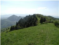  Proventino hillside - Crocefieschi&Vobbia - <2001 - Landscapes - Summer - Voto: Non  - Last Visit: 28/9/2023 2.17.46 