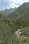  Vobbia Creek - Crocefieschi&Vobbia - <2001 - Landscapes - Summer - Voto: Non  - Last Visit: 30/9/2023 23.17.41 