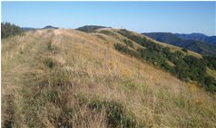  I prati del Monte Proventino - Crocefieschi&Vobbia - 2013 - Landscapes - Summer - Voto: Non  - Last Visit: 29/9/2023 2.15.2 