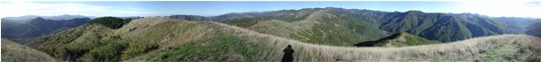  360  gradi di panorama dal M. Proventino - Crocefieschi&Vobbia - 2003 - Panorami - Estate - Voto: Non  - Last Visit: 19/5/2024 0.59.2 