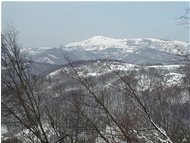  M. Alpe innevato - Crocefieschi&Vobbia - 2004 - Panorami - Inverno - Voto: Non  - Last Visit: 27/9/2023 10.47.8 