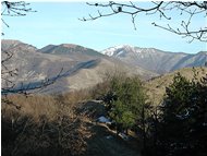 M.Buio e Antola in gennaio: la neve scarseggia - Crocefieschi&Vobbia - 2005 - Panorami - Inverno - Voto: 10   - Last Visit: 8/11/2022 2.31.51 