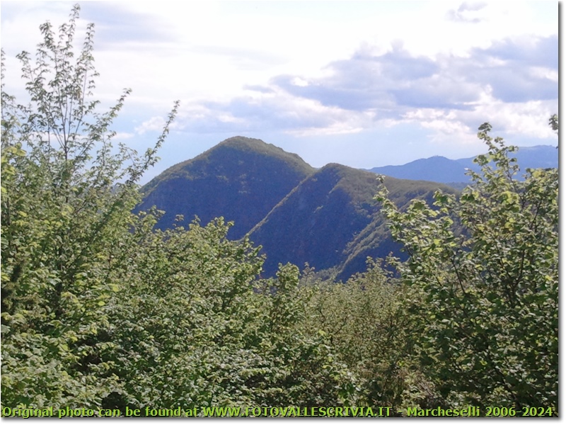 Gli scoscesi pendii settentrionali del Monte Maggio - Crocefieschi&Vobbia - 2012 - Panorami - Estate - Canon Ixus 980 IS