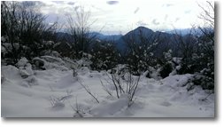 Fotografie Crocefieschi&Vobbia - Panorami - Il mare e la neve da sopra Crebaia