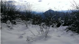  Il mare e la neve da sopra Crebaia - Crocefieschi&Vobbia - 2014 - Panorami - Inverno - Voto: Non  - Last Visit: 25/9/2023 8.42.36 