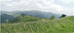  Il monte Antola visto dal Monte Buio - Crocefieschi&Vobbia - <2001 - Panorami - Estate - Voto: Non  - Last Visit: 15/4/2022 14.6.52 