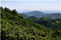  Il verde dell'entroterra e l'azzurro del Mar Ligure dalle alture di Crocefieschi - Crocefieschi&Vobbia - 2009 - Panorami - Estate - Voto: Non  - Last Visit: 24/9/2023 16.50.10 