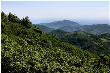  Il verde dell'entroterra e l'azzurro del Mar Ligure dalle alture di Crocefieschi - Crocefieschi&Vobbia - 2009 - Panorami - Estate - Voto: Non  - Last Visit: 26/6/2022 17.39.8 