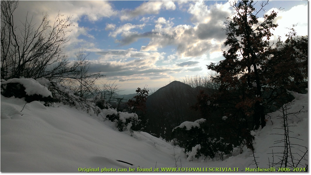 La neve, Montemaggio e il mare salendo al monte Schigonzo - Crocefieschi&Vobbia - 2014 - Panorami - Inverno - HTC One S Nokia C7-00 (o altro cell)