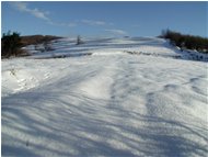  Le pendici del M. Schigonzo innevate - Crocefieschi&Vobbia - 2002 - Panorami - Inverno - Voto: Non  - Last Visit: 29/4/2024 17.54.27 