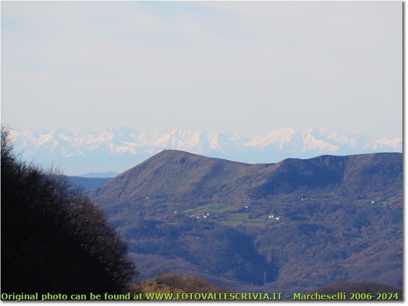 Monte Alpe e alpi dl monte Castello - Crocefieschi&Vobbia - 2020 - Panorami - Inverno - Olympus OM-D E-M10 Mark III
