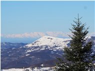  Monte Alpe di Porale e massiccio Gran Paradiso - Crocefieschi&Vobbia - 2021 - Panorami - Inverno - Voto: Non  - Last Visit: 16/10/2021 11.37.7 
