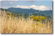 Fotografie Crocefieschi&Vobbia - Panorami - Monte Antola visto dal Monte Proventino