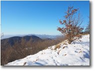 Fotografie Crocefieschi&Vobbia - Panorami - Monte Maggio dalla strada per il Proventino