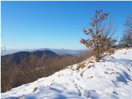  Monte Maggio dalla strada per il Proventino - Crocefieschi&Vobbia - 2020 - Panorami - Inverno - Voto: Non  - Last Visit: 28/9/2023 7.20.54 