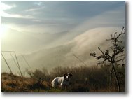 Foto Crocefieschi&Vobbia - Panorami - Fog from flatland assaulting M. Schigonzo