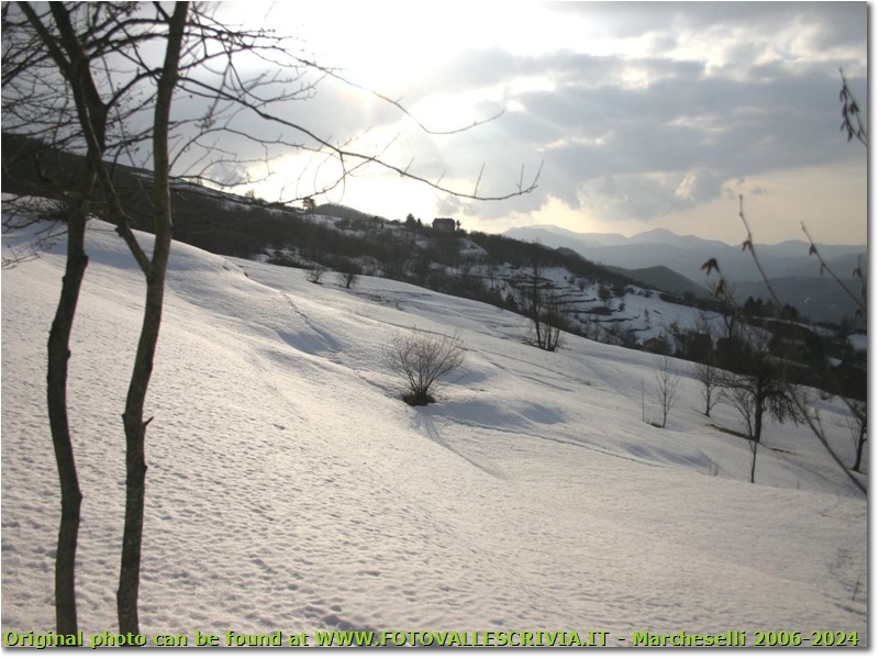 Neve a Crebaia frazione di Crocefieschi - Crocefieschi&Vobbia - 2005 - Panorami - Inverno - Olympus Camedia 3000
