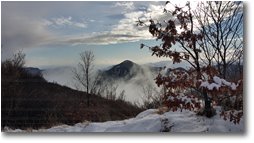 Foto Crocefieschi&Vobbia - Panorami - Neve e nebbie attorno al Montemaggio salendo al m. Schigonzo