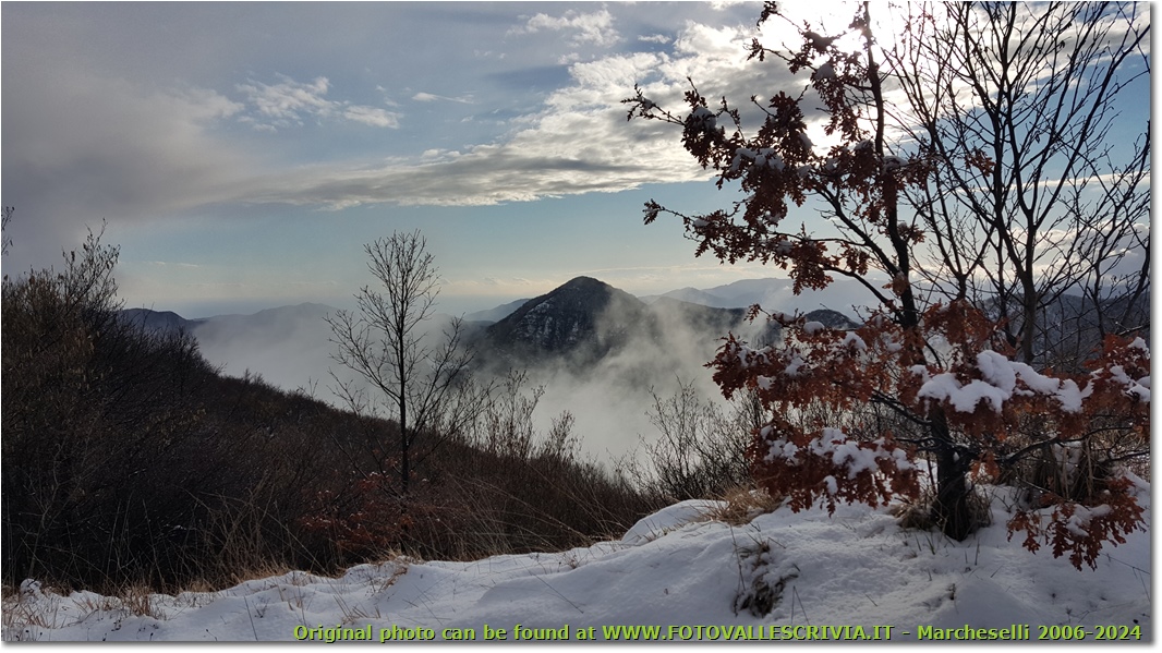 Neve e nebbie attorno al Montemaggio salendo al m. Schigonzo - Crocefieschi&Vobbia - 2016 - Panorami - Inverno - HTC One S Nokia C7-00 (o altro cell)