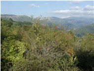  Panorama dal Monte Proventino all' Antola - Crocefieschi&Vobbia - <2001 - Panorami - Estate - Voto: Non  - Last Visit: 13/11/2022 21.36.20 