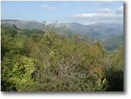 Fotografie Crocefieschi&Vobbia - Panorami - Panorama dal Monte Proventino all' Antola