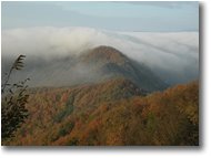 Fotografie Crocefieschi&Vobbia - Panorami - Fogs