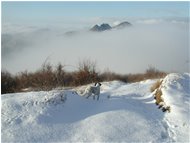  M. Reopasso innevato emerge dalle nebbie - Crocefieschi&Vobbia - 2002 - Panorami - Inverno - Voto: 8,5  - Last Visit: 5/12/2022 1.34.15 