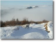 Foto Crocefieschi&Vobbia - Panorami - M. Reopasso innevato emerge dalle nebbie