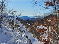  Scorcio sul Mar Ligure, tra i rami innevati - Crocefieschi&Vobbia - 2021 - Panorami - Inverno - Voto: Non  - Last Visit: 25/5/2024 8.17.26 