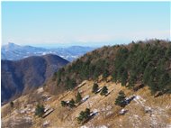  Spruzzata di enve sulla pineta del Monte Proventino - Crocefieschi&Vobbia - 2020 - Panorami - Inverno - Voto: Non  - Last Visit: 25/5/2024 8.18.30 